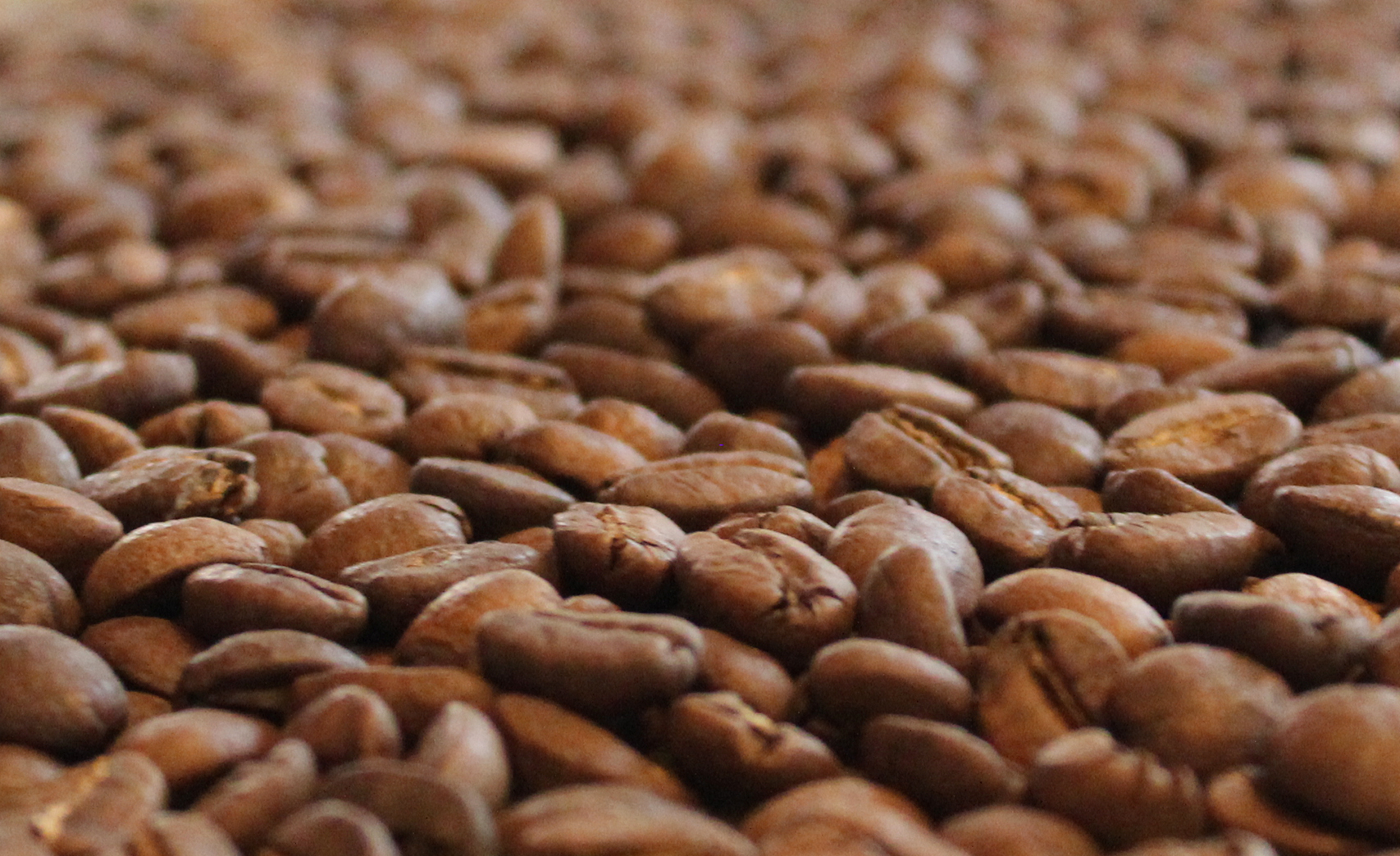 Café con tostión en grano